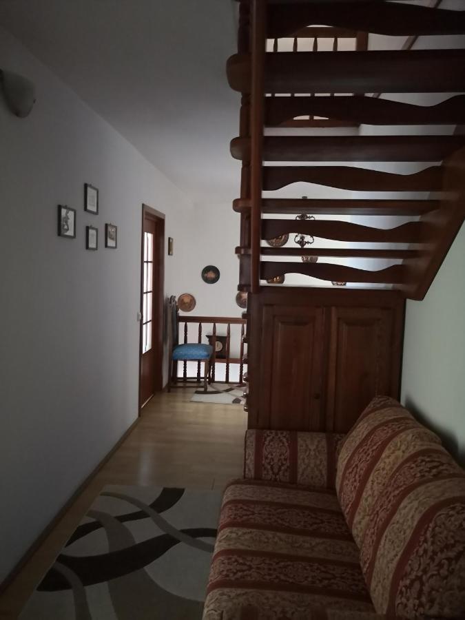 Casa Gotika Guest House Vama  Exterior photo