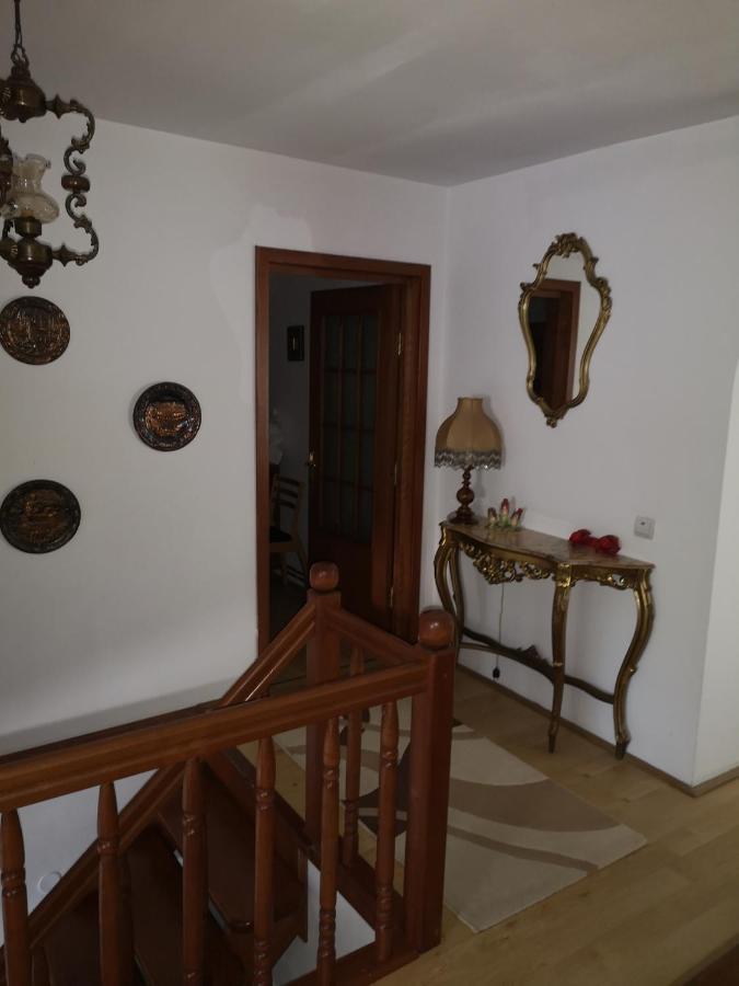 Casa Gotika Guest House Vama  Exterior photo