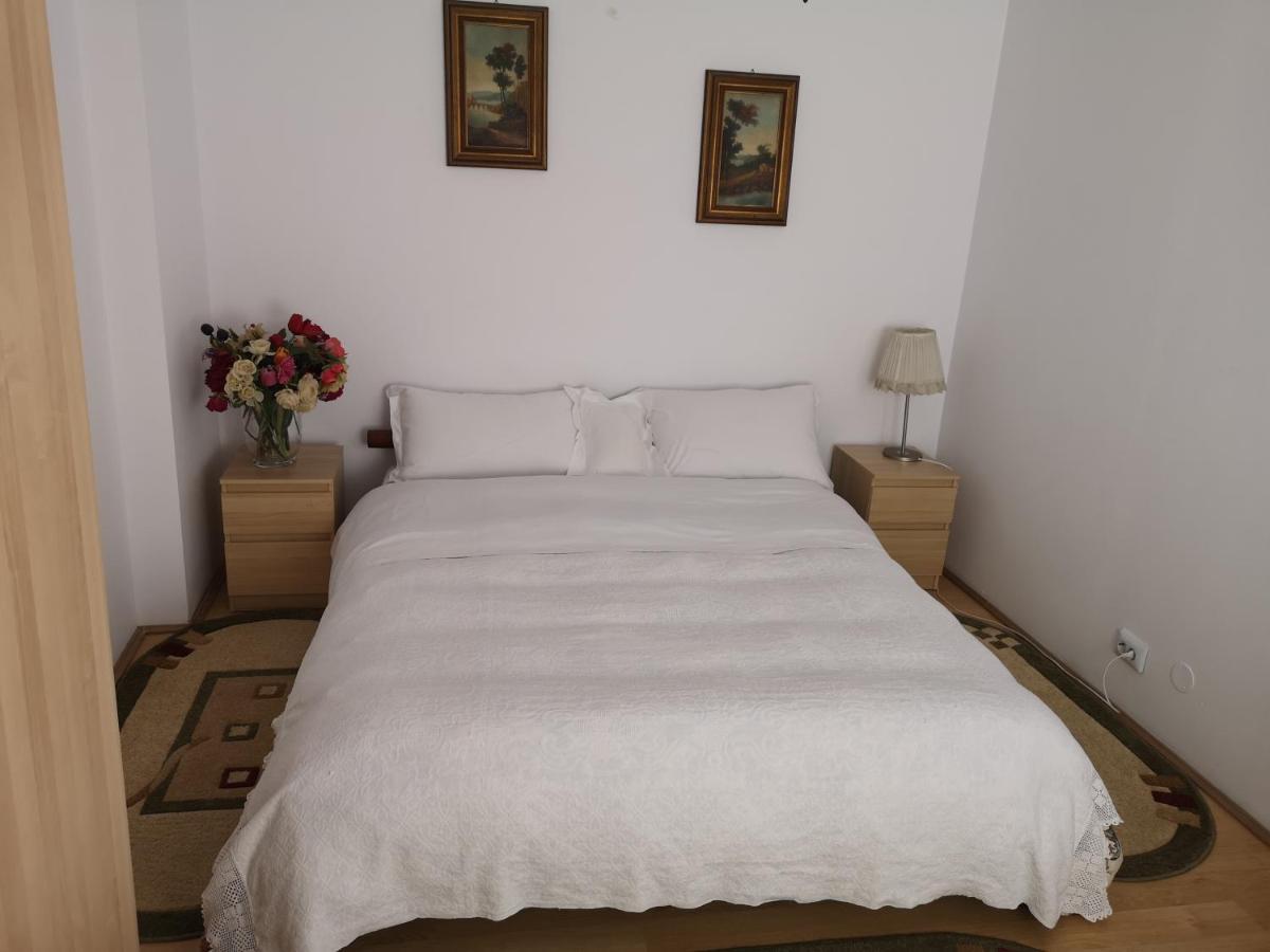 Casa Gotika Guest House Vama  Exterior photo