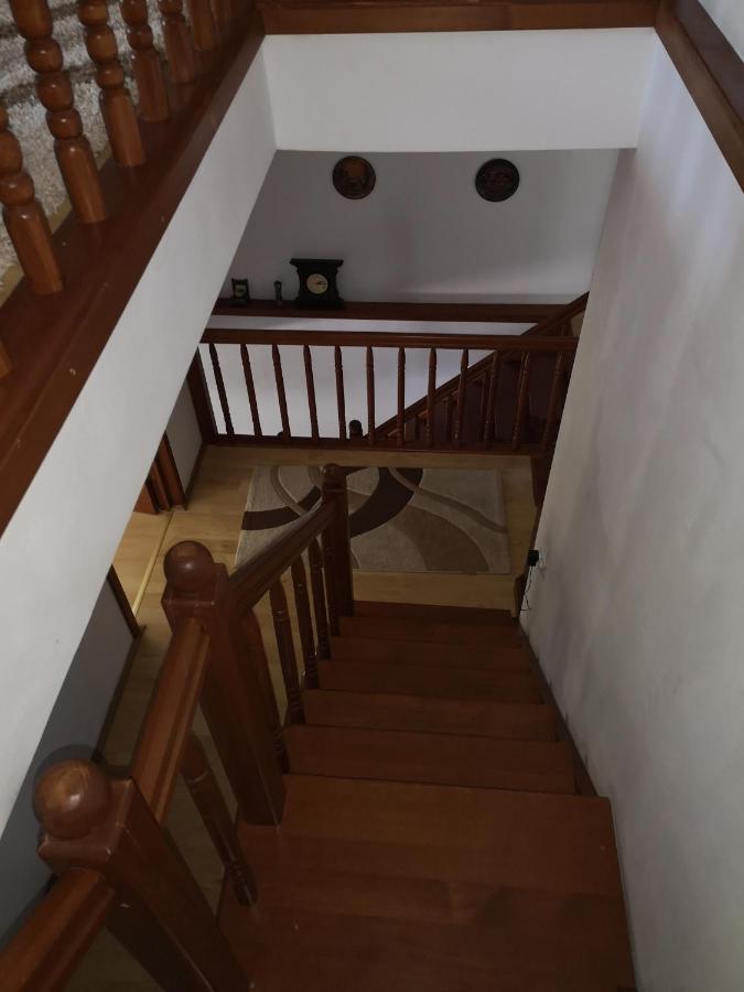 Casa Gotika Guest House Vama  Exterior photo