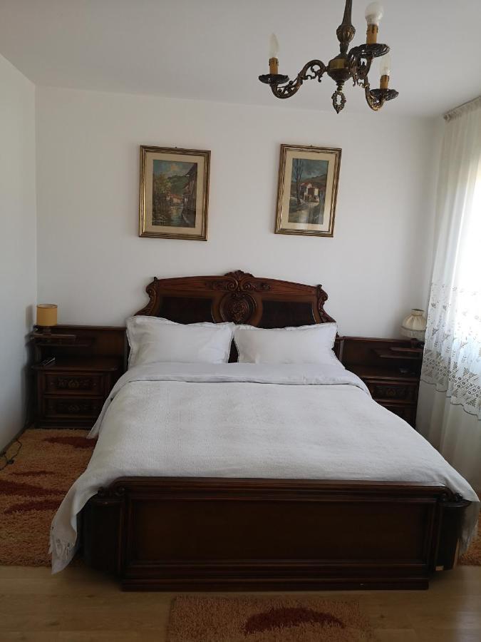 Casa Gotika Guest House Vama  Exterior photo